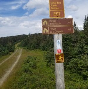 Meet your Posher, André